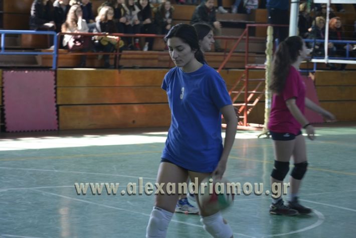 volley_1o-alexandreias-melikis2018 (15)